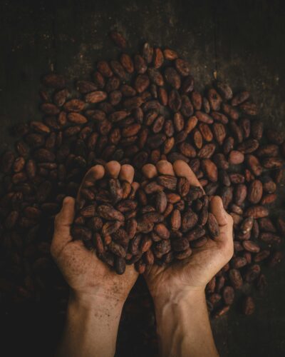 Cacao in hands by Pablo Merchan Montes on Unsplash